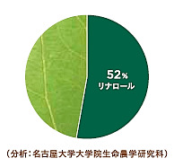 s-kotoha_graph_k.jpg