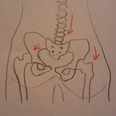骨盤の歪み②