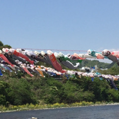 高田橋の鯉のぼり