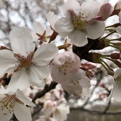 自律神経のバランスが崩れるとカラダの不調がでてきます・・・