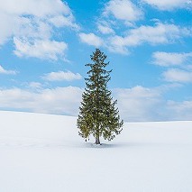 寒いとカラダが辛く感じるのは、どうして?