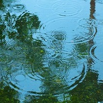 雨の日に不調が増える理由、知っていますか？