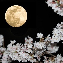 【月曜日から深夜営業を再開します！平日0:00まで受付可能に】